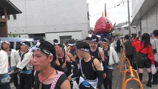 唐津くんち　２０２３年　翌日祭（町廻り）　江川町