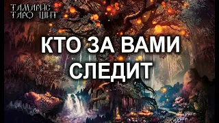 КТО ЗА ВАМИ СЛЕДИТ?🔥💯 ГАДАНИЕ РАСКЛАД ТАРО