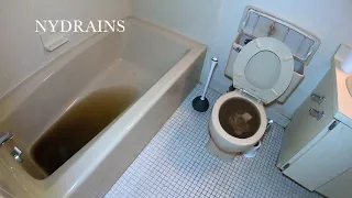 Clogged Drain #231