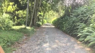 Socorro Cruz Y Ahora Que? En Hacienda cafetera