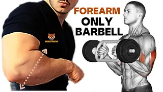 5 BEST Exercises for Bigger Forearms Workout With Barbell Only