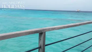 Reethi Beach Maldives Water Villa Walkthrough