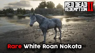 Wild White Roan Nokota Location - Red Dead Redemption 2