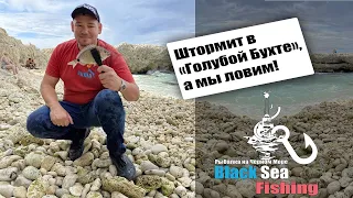 Штормовое утро! Rockfishing в Севастополе! Ловим Ласкиря в Голубой Бухте!