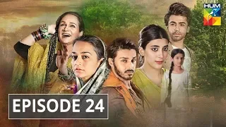 Udaari Episode 24 HUM TV Drama