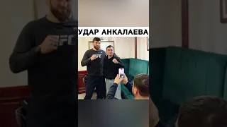 Анкалаев нокаутировал своего фаната