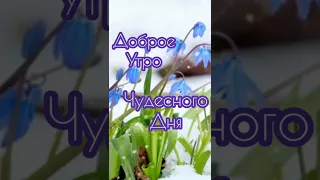 Доброе утро 🌤️🌤️🌤️ Расцвели цветы и слышется весна🌷🌷🌷🥀🥀🥀🌹🌹🌹