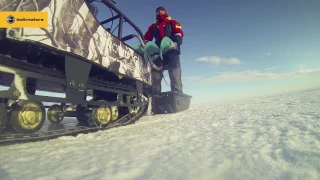 Snowdog с двигателем Briggs&Stratton