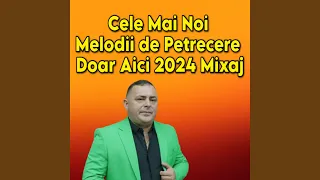 Cele Mai Noi Melodii de Petrecere Doar Aici 2024 Mixaj