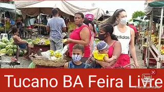 feira livre de Tucano BA