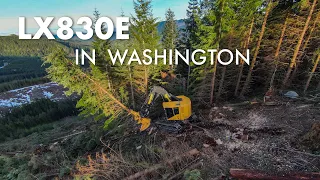 Tigercat LX830E Feller Buncher in Washington