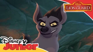 The Lion Guard - Tonight We Strike Song | Official Disney Junior Africa