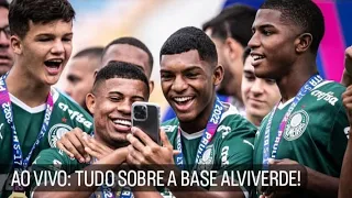 Palmeiras campeão paulista sub-17 e finalista da Copa do BR Sub-20 | Live com Felipe Francischinelli