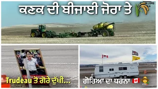 ਗੋਰੇ ਲਾਈ 🧑‍🌾ਬੈਠੇ ਆ ਧਰਨਾ 🇨🇦|| work Slow in canada #india #viral #truck #trucklife #song