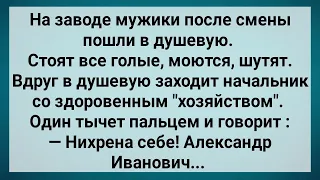 Начальник со Здоровенным Хозяйством Зашел в Душевую! Сборник Свежих Анекдотов! Юмор!