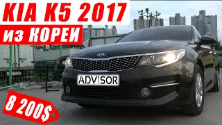 Выиграли KIA K5 MX 2017 на аукционе Hyundai Glovis в Корее😎 #AdvisorAuto