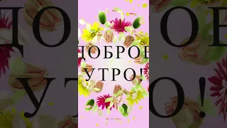 С добрым утром! #сдобрымутром #хорошегоднятебе #доброеутро #открытка