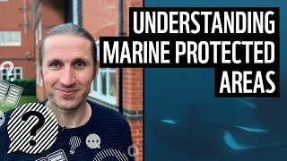 What is a marine protected area? | WWF