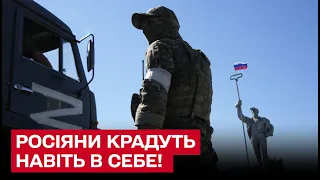 😂 "Крысы *баные!" Російський командир жаліється, що солдати розікрали майно!