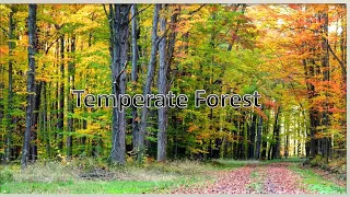 Temperate Forest- Deciduous Forest- Temperate Biome Facts