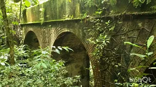 Encontrei um Túnel abandonado na mata!