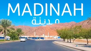 Madinah City | المدينة