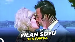 Yılan Soyu | Ayhan Işık Eski Türk Filmi Full İzle