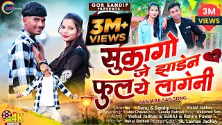 सुकागो जे झाडेन फुल ये लागेनी ll sukago je zhaden phool lageni l Banjara video songs l Vishal Jadhav