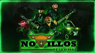 Novillos De La Sierra 2024 || Grandes Exitos - Puros Corridos Mix