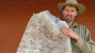 How to make a Sheep Skin! - Ep. #11