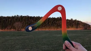 G-11 Dragonfly Variation boomerang carved by James Hoy (Boomerangs UK).