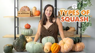 What are the different types of pumpkins? Squashes explained...