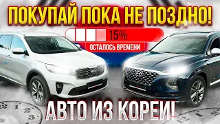 АВТО ИЗ КОРЕИ❗️ЧТО БУДЕТ ДАЛЬШЕ❓