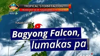 Saksi: Bagyong Falcon, lumakas pa habang nagbabadyang mag-landfall sa extreme Northern Luzon