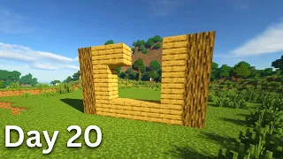 Building A House But Only Adding One Block A Day (Day 20)