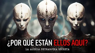 ¿POR QUÉ ESTÁN ELLOS AQUÍ? La agenda extraterrestre secreta: ¡lo que NECESITAS saber!  Paul Wallis