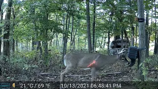 REVERSE ANGLE KILL CAUGHT ON TRAIL CAM