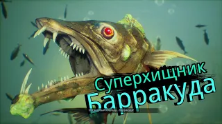 Maneater босс суперхищник Барракуда