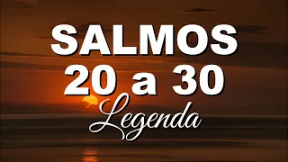 BÍBLIA SALMOS 20 A 30 LEGENDA