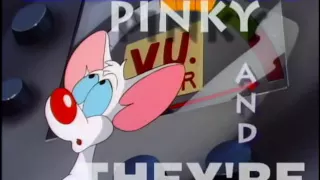 Pinky and The Brain Intro Opening Theme