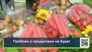 Проблем с продуктами в Татарстане не будет