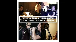 TRENT REZNOR (NIN) & Peter Murphy (2006) Radio Sessions [FM audio]