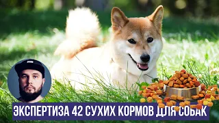 42 экспертизы сухих кормов для собак | Энциклопедия UA DOG