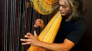 "Bailaora” Jazz/Flamenco style solo harp