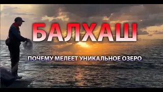 "Балхаш может повторить судьбу Арала". Что происходит с уникальным озером?