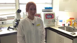 Role of a Biomedical Scientist