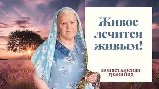 Монастырская Травница | Живое лечится живым!