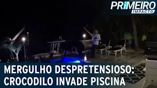 Crocodilo gigante invade piscina de mansão nos Estados Unidos | Primeiro Impacto (13/06/23)