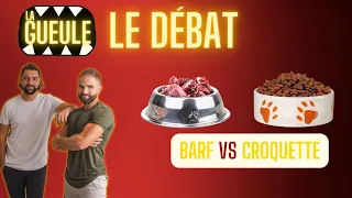 BARF vs CROQUETTES : Le débat !