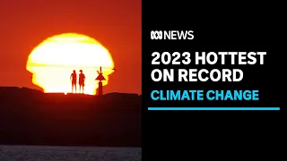 Scientists confirm 2023 is the hottest year on record, with a month to spare | ABC News